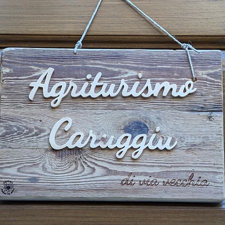Agriturismo Caruggiu Di Via Vecchia Орко-Фельино Экстерьер фото